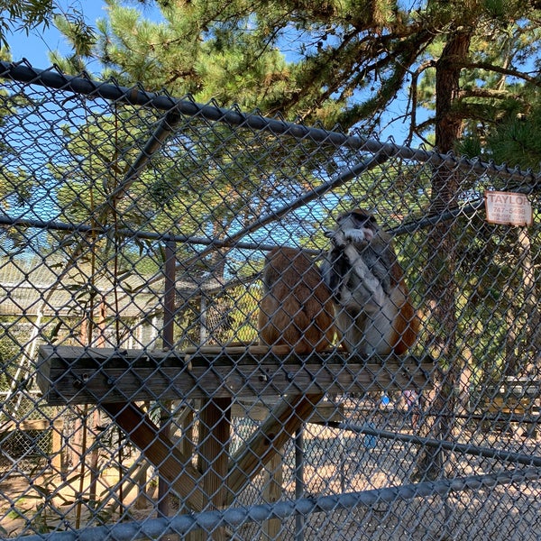 Photos at Popcorn Park Zoo Zoo in Forked River