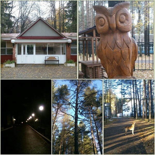 Сосновый Бор Пермь Фото