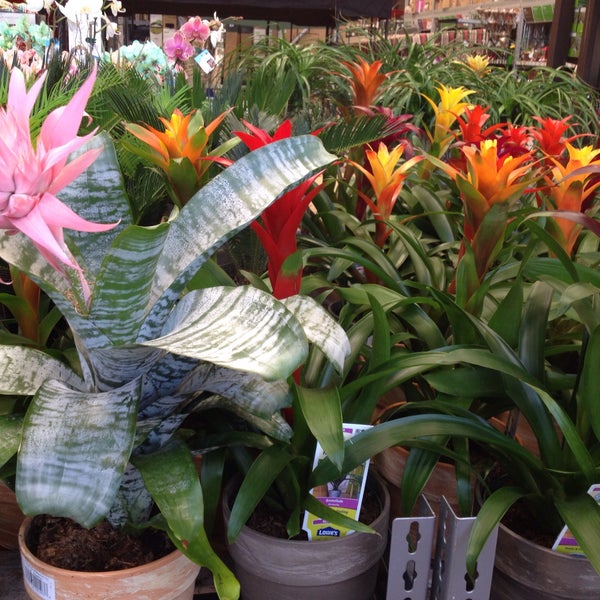 Lowe's Ormond Beach, FL