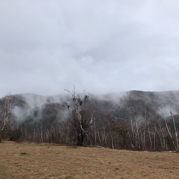 5/1/2019 tarihinde Na K.ziyaretçi tarafından Norikura Kogen'de çekilen fotoğraf
