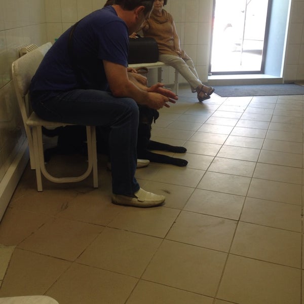 доктор еремин ветеринар жулебино. клиника доктора ерёмина жулебино. ветеринарная клиника доктора ерёмина москва. метро жулебино поликлиника. ветеринарная клиника еремина в жулебино.