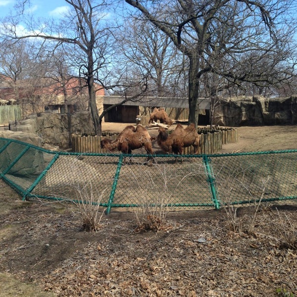 Lincoln park zoo wild things - Gift Shop in Chicago