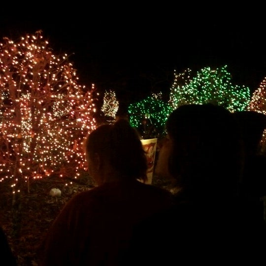 The Lewis Lights 280 White Chapel Rd