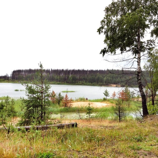 Электрогорск озеро. Рп5 на 2 недели. Пять озер муромцево омской области. Александров с4 озера. Озеро чугуш фото.