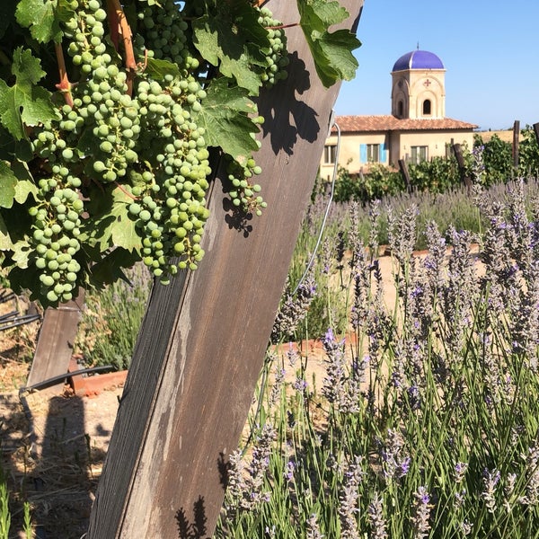 Photo taken at Allegretto Vineyard Resort Paso Robles by Mallory M. on 7/15/2018