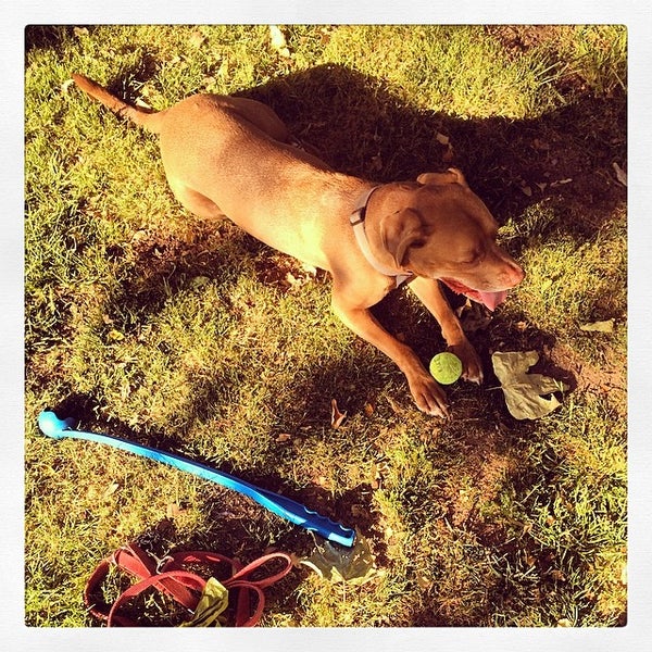 Yosemite Recreation Center Eagle Rock 4 tips from 244 visitors