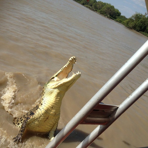 Adelaide River Queen Jumping Crocs River
