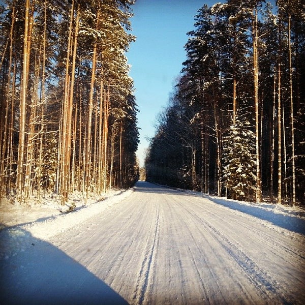 Казань Зеленый Бор Купить