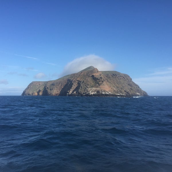 Island Venture