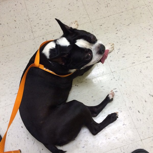 Petsmart Brooklyn Park Maple Grove Maple Grove Mn