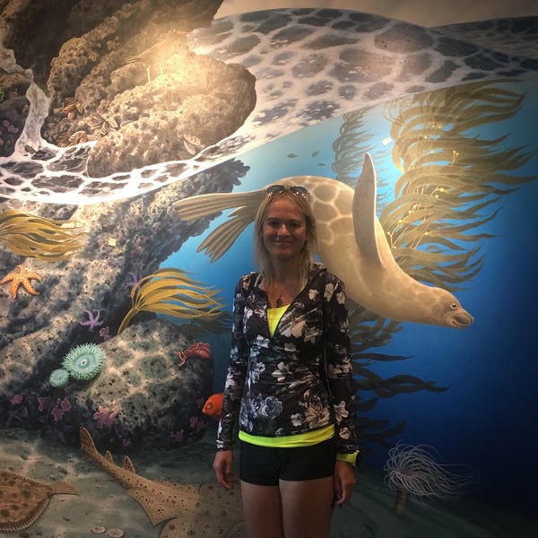 8/28/2018에 Tugba 🐾🌸님이 Santa Monica Pier Aquarium에서 찍은 사진
