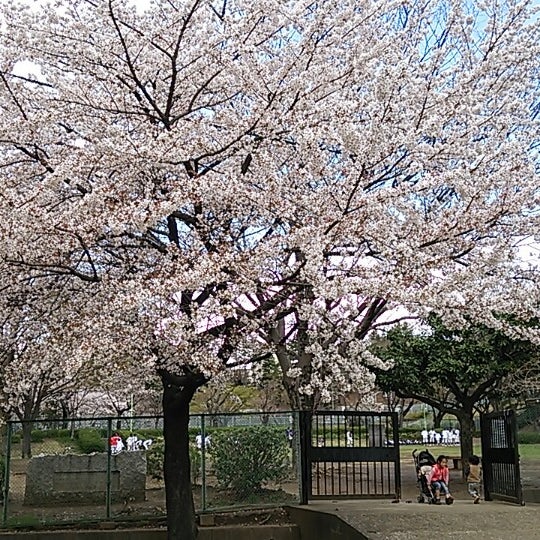 鶴川中央公園 Park 鶴川中央公園 Park