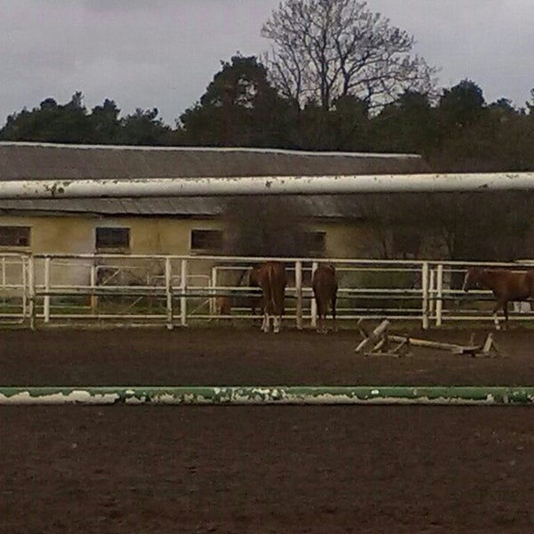 Олимпийский резерв по конному спорту