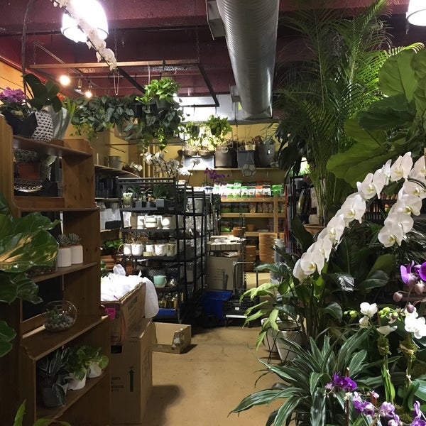 Photo taken at PlantShed New York Flowers by Bethany C. on 2/18/2018