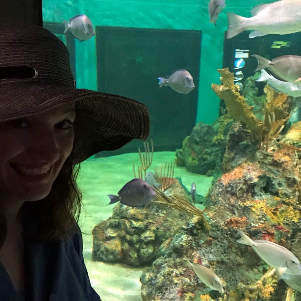 John Pennekamp Aquarium 2 tips from 231 visitors