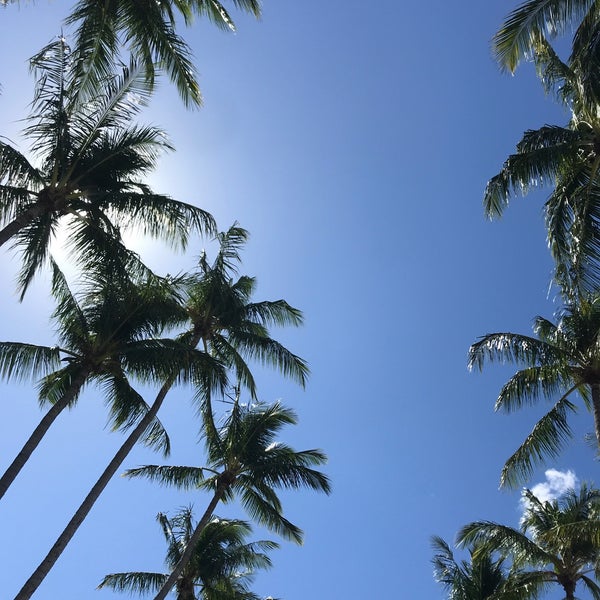 รูปภาพถ่ายที่ Tamarindo Diria Beach Resort โดย Joyce V. เมื่อ 12/11/2018