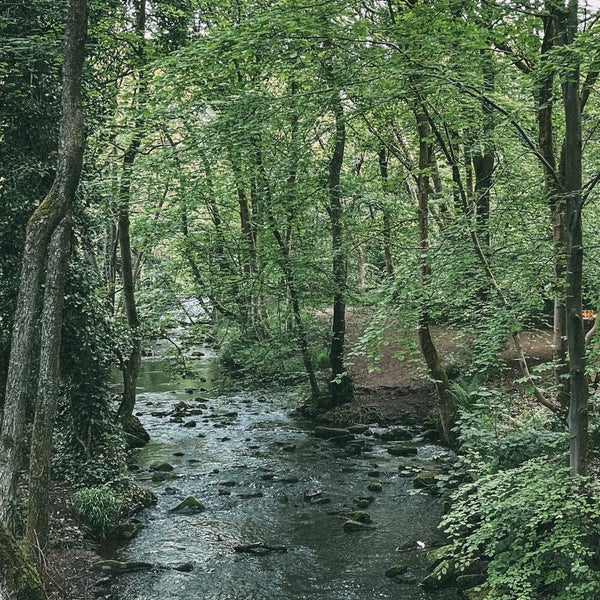 Rivelin Valley Spring Rivelin Valley