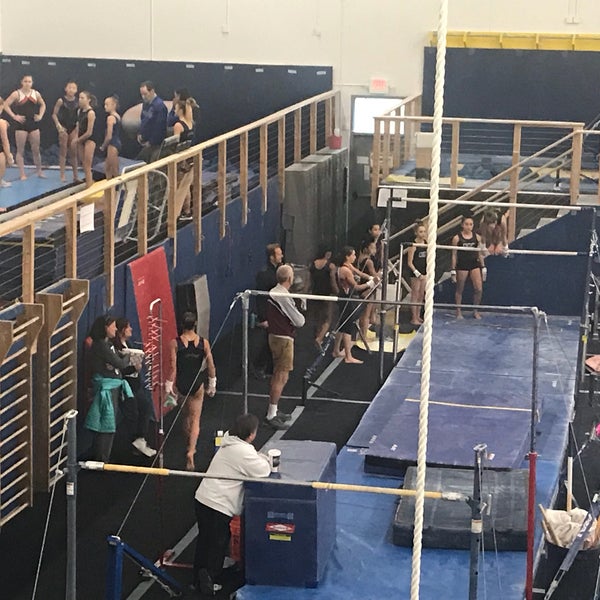 omega gymnastics