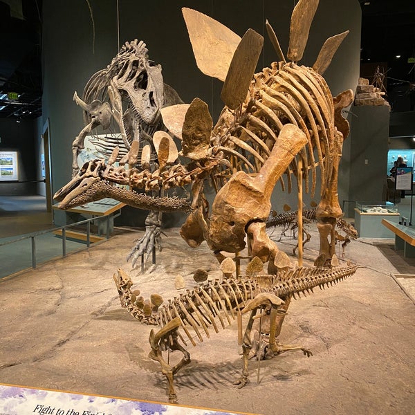 Photo taken at Denver Museum of Nature and Science by Clark P. on 4/3/2021