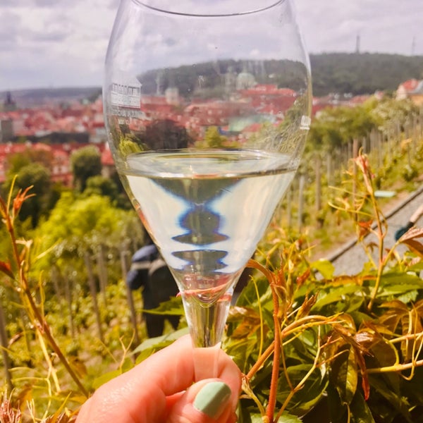 Foto tirada no(a) Svatováclavská vinice por Lucyan em 5/6/2019