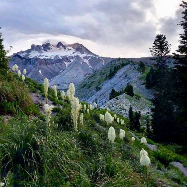 Pacific Crest Trail
