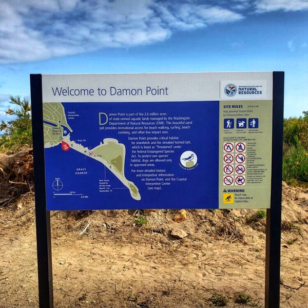 Damon Point State Park Beach in Ocean Shores