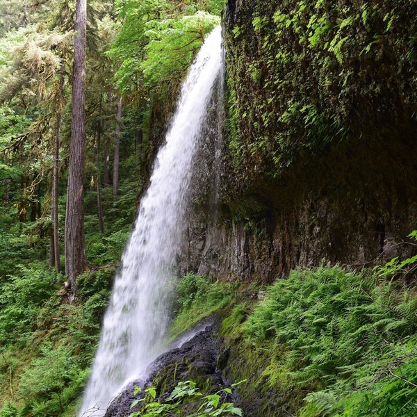 Lower south. Сарқырама водопад. Болотная пещера арк мобайл. Silver falls state park windows. Lower south.