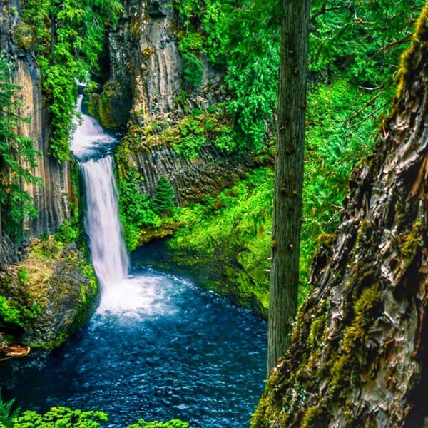 Toketee Falls
