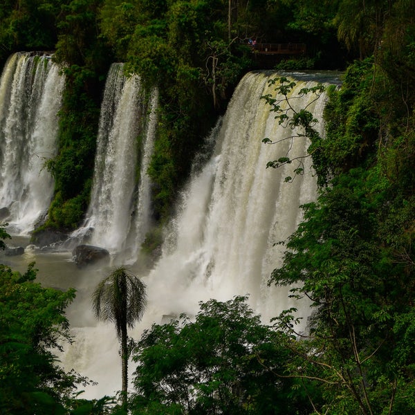 Photo prise au Parque Nacional Iguazú par Lucyan le12/20/2022
