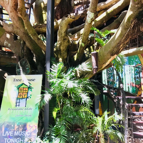 Photo taken at Tree House Restaurante &amp; Cafe by Lucyan on 3/26/2018
