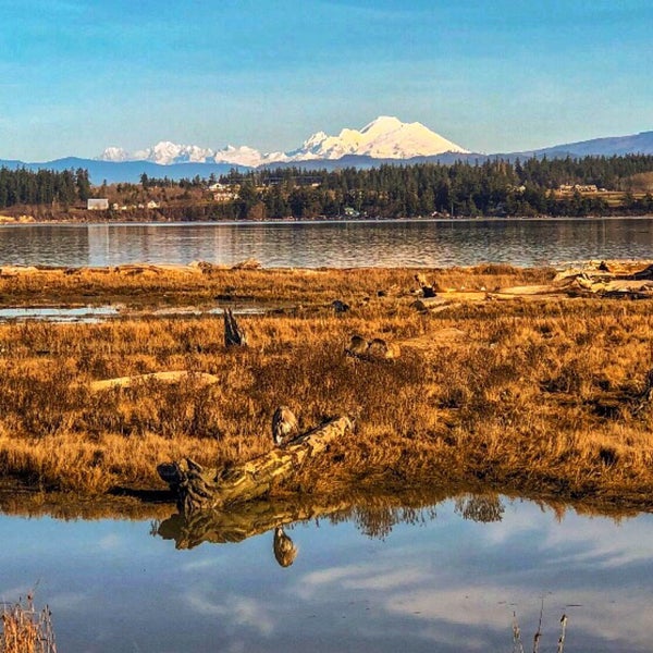 Escape to Tranquility: Your Guide to Anderson Lake State Conservation Area