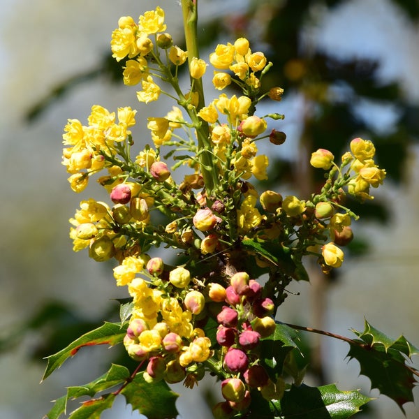 Photos at Interlaken Park Park in Seattle