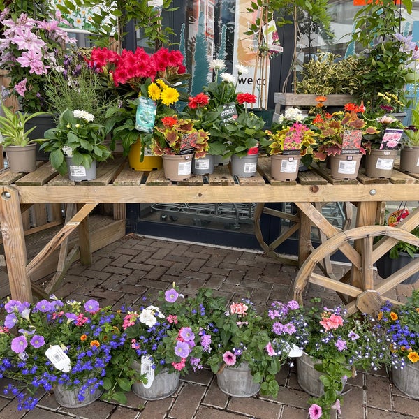 Poplars Garden Centre Harlington Rd