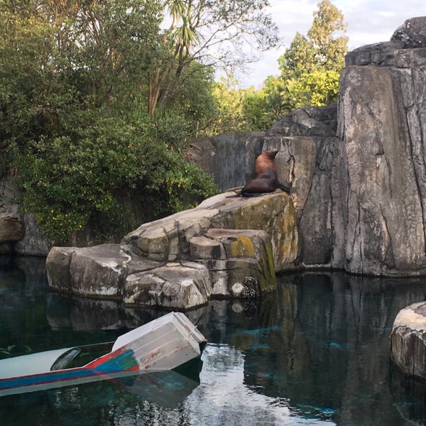 Foto diambil di Auckland Zoo oleh Shandy L. pada 9/16/2018