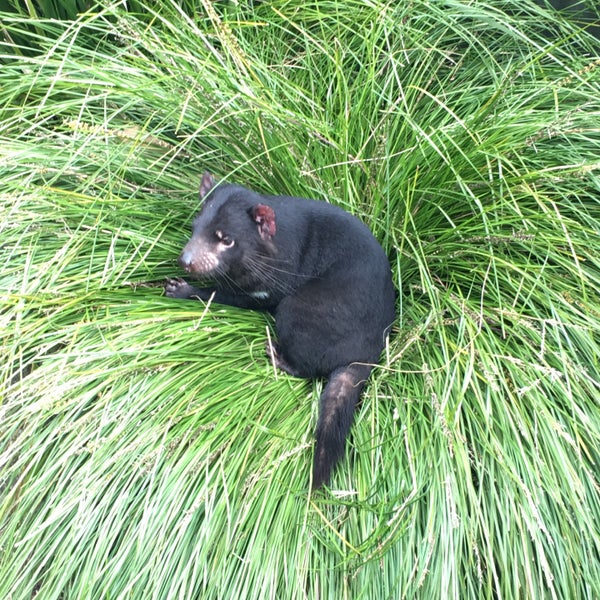 Foto diambil di Auckland Zoo oleh Shandy L. pada 9/16/2018