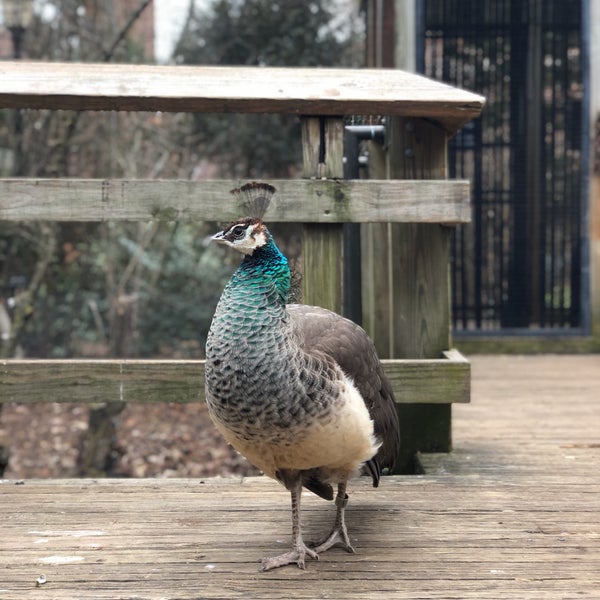 Photo taken at Prospect Park Zoo by Andreas L. on 12/29/2019