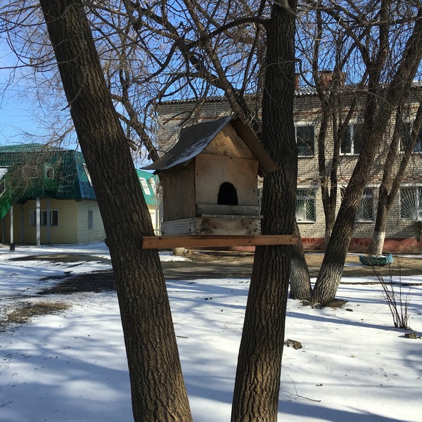 Лесная психиатрическая больница. Лесная улица саранск психиатрическая больница. Касимов. Психиатрическая больница стерлитамак лесная. Мордовская республиканская клиническая психиатрическая больница.