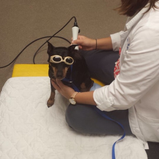 Photos at University of Florida Small Animal Hospital 4 tips from 206 visitors