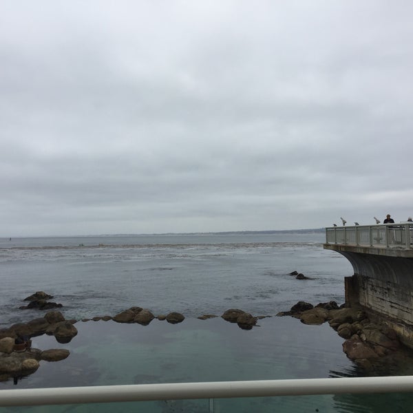 Foto scattata a Monterey Bay Aquarium da Jouko H. il 8/10/2016