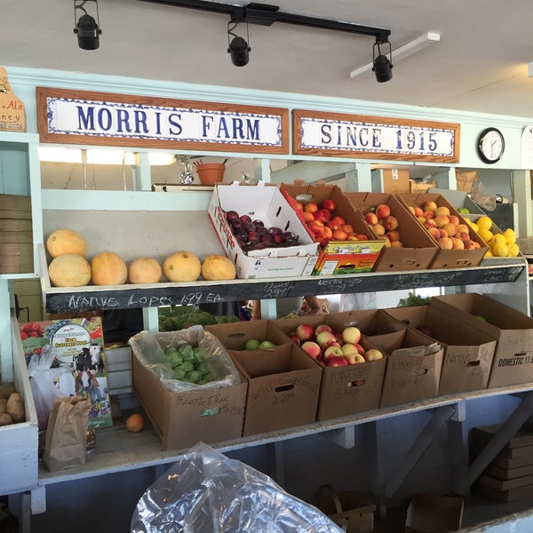 Morris Farm Farm in Warwick