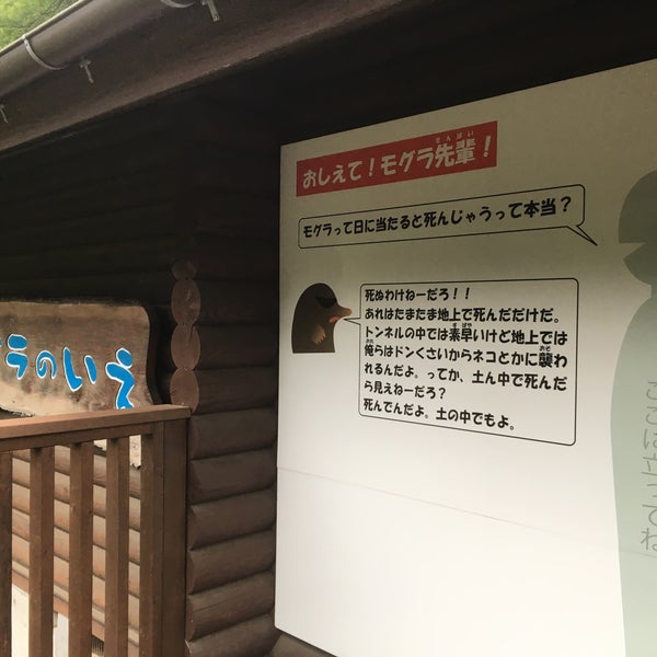 モグラのいえ 日野 程久保7 1 1
