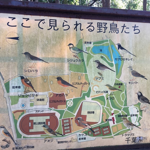 Photos At 流山市総合運動公園 Park In 流山市 Photos At 流山市総合運動公園 Park In 流山市