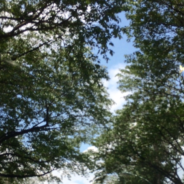 上宮大澤神社 Shrine In 小金井