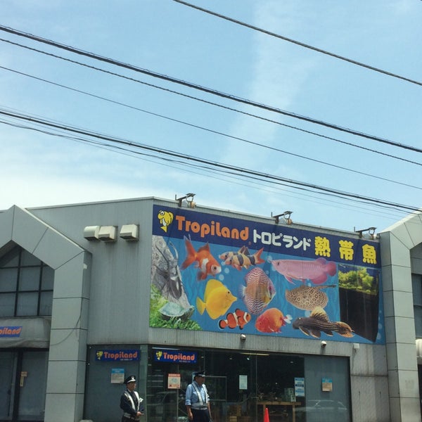 Fotos En トロピランド 小平店 Ahora Cerrado 3 Tips Fotos En トロピランド 小平店 Ahora Cerrado 3 Tips