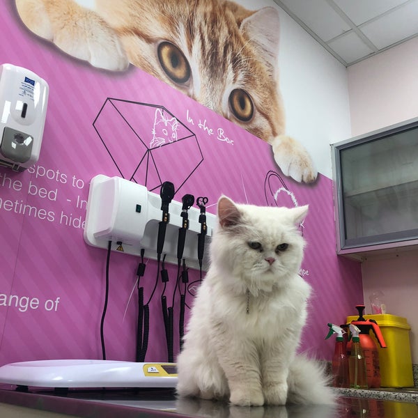 Foto scattata a Advanced Pet Clinic da Nouf il 9/12/2022