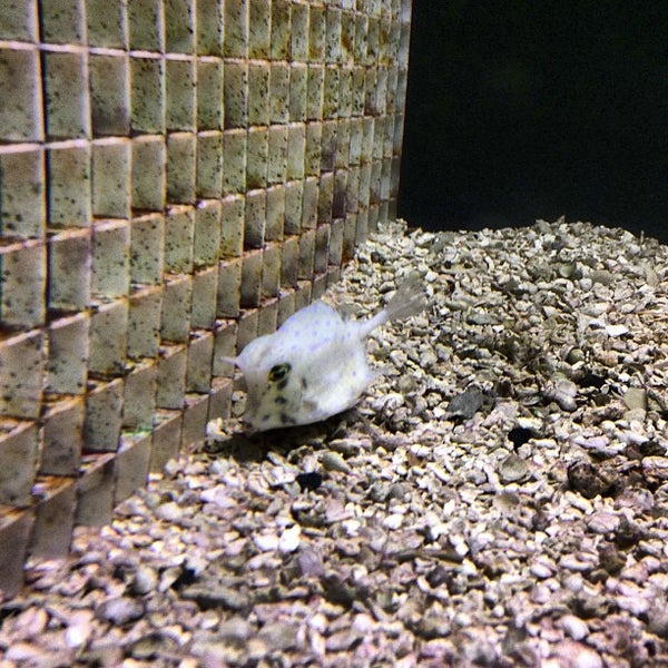 Terry's aquarium sales & pet center
