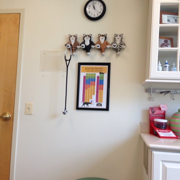 Seneca Hill Animal Hospital, Resort & Spa - Veterinarian in Great Falls Seneca Hill Animal Hospital, Resort & Spa - Veterinarian in Great Falls