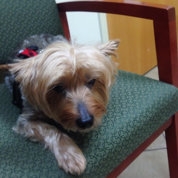 Seneca Hill Animal Hospital, Resort & Spa - Veterinarian in Great Falls Seneca Hill Animal Hospital, Resort & Spa - Veterinarian in Great Falls