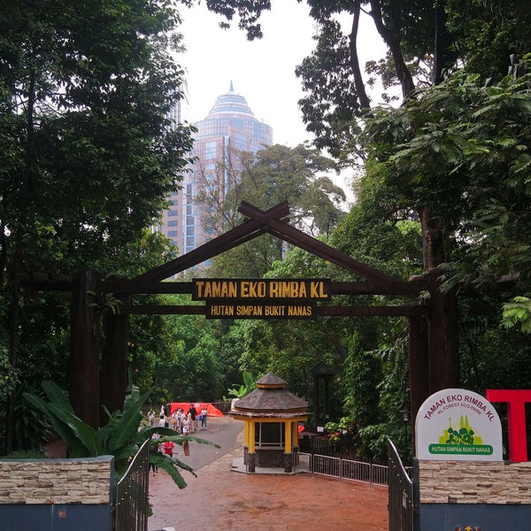 Foto Di Bukit Nanas Forest Reserve Cagar Alam Di Kuala Lumpur