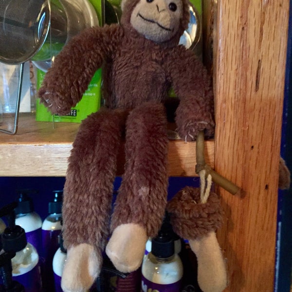 6/21/2015 tarihinde Greg J.ziyaretçi tarafından The Frothy Monkey'de çekilen fotoğraf